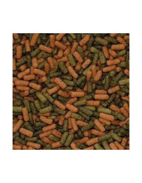 Tropical CICHLID RED & GREEN large sticks
