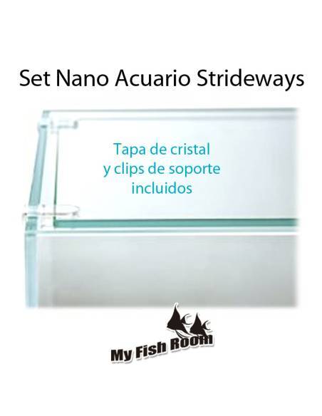 Set Nano Acuario / Gambario Strideways 13 litros + Twinstar 30B WRGB