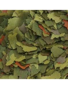 Tropical MALAWI flakes 2