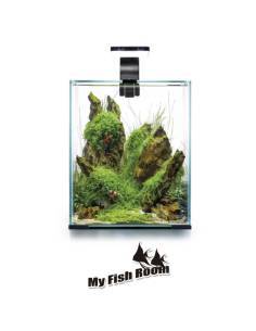 Camisetas My Fish Room (mujer)