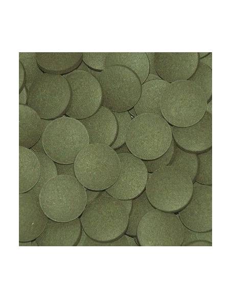 Tropical PLECO'S TABLETS