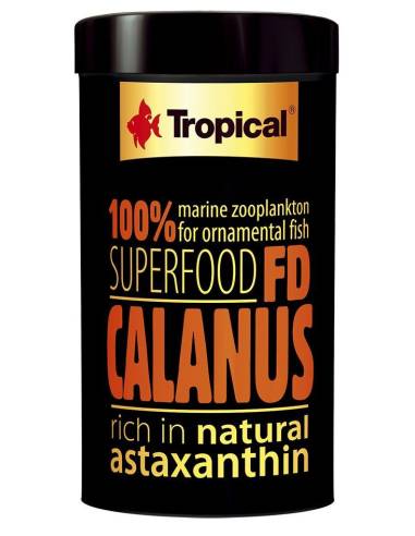 Tropical FD CALANUS
