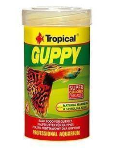 Tropical GUPPY