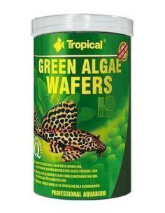 Tropical GREEN ALGAE WAFERS