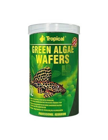 Tropical GREEN ALGAE WAFERS