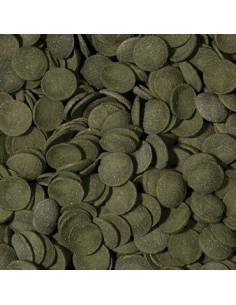 Tropical GREEN ALGAE WAFERS 2