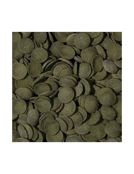 Tropical GREEN ALGAE WAFERS