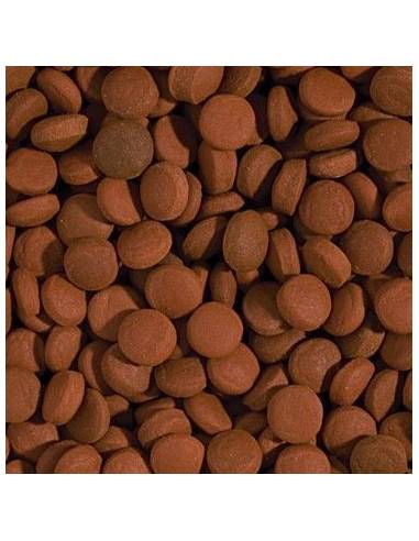 Tropical WEEKEND FOOD