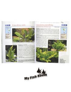 Guía de plantas de acuario 2