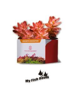 2Hr Aquarist APT Jazz abono comprimido 54 cápsulas
