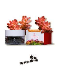 2Hr Aquarist APT Jazz abono comprimido 54 cápsulas 2