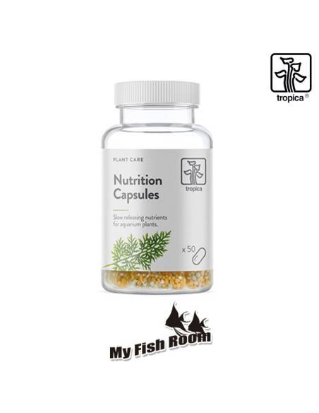 Nutrition Capsules 50 pcs Tropica Dinamarca