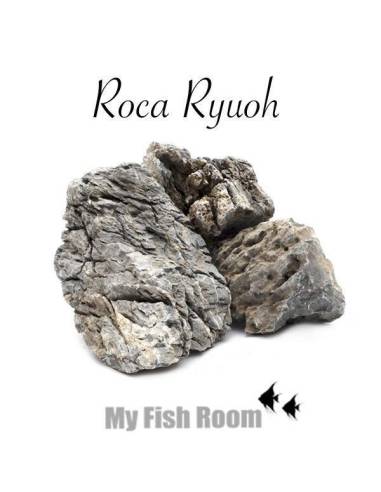 Roca Ryohu