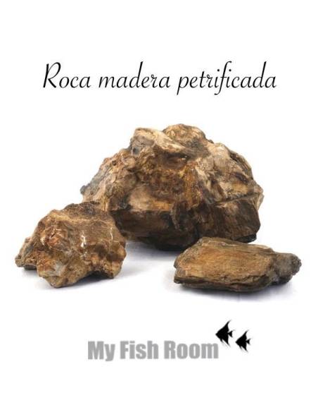 Roca Madera petrificada
