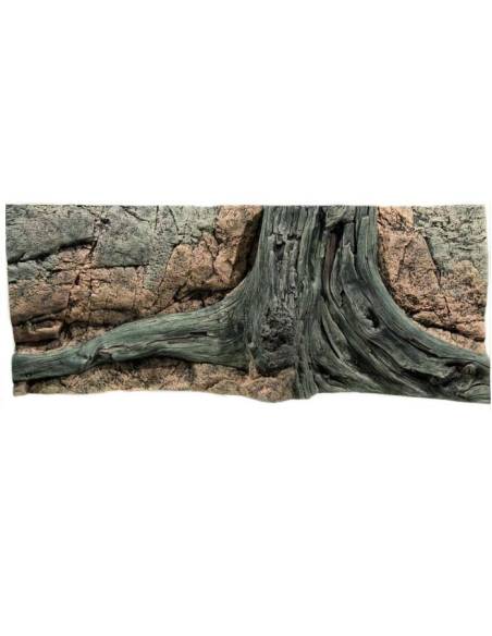 Background Amazonas