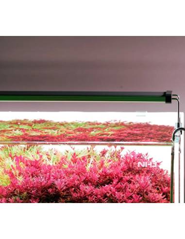 Pantallas LED Chihiros Serie B - 45cm