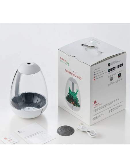 Chihiros Tiny Terrarium Egg es un terrario de pequeño tamaño ideal para decorar cualquier espacio de tu casa.