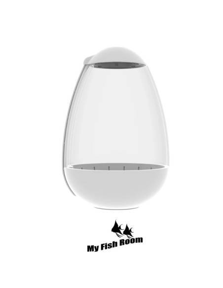Chihiros Tiny Terrarium Egg es un terrario de pequeño tamaño ideal para decorar cualquier espacio de tu casa.