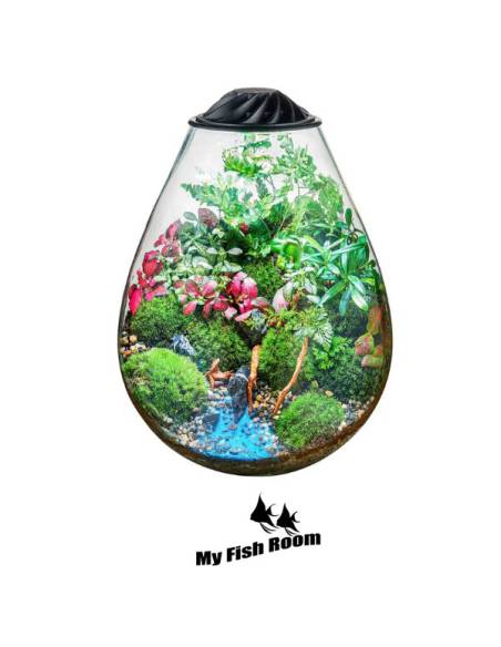 Chihiros ECO Ping mini terrario