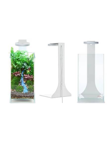 Chihiros terrarium kit glass air Wabi Kusa urna rectangular