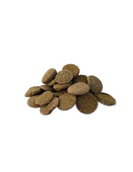 Prodac Algae Wafer pastillas vegetales para peces de fondo como Loricaridos