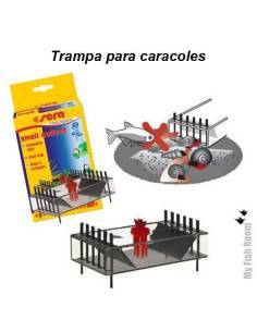 Trampa para caracoles 2