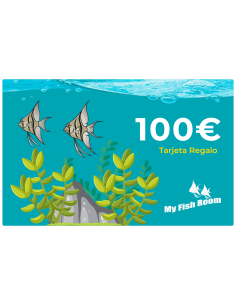 Tarjeta de Regalo 100€