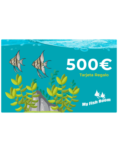 Tarjeta de Regalo 500€