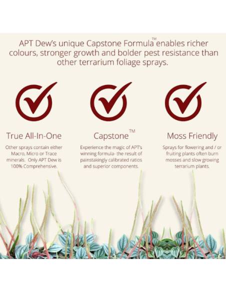 The 2Hr Aquarist APT DEW Foliar / para terrarios y paludarios