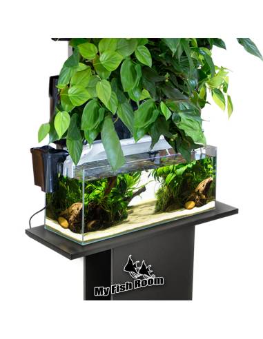 VERSA GARDEN Aquael Kit de Inicio de Jardín...