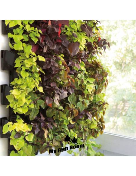 VERSA GARDEN Kit de Inicio de Jardin Vertical para 12 macetas