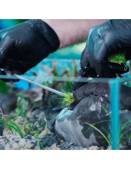Sticky Soil Wio solución innovadora para aquascaping