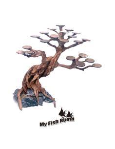 Bonsai Rasamala creado a partir de raíces naturales para realizar creaciones de aquascaping