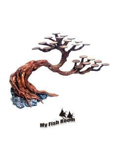 Bonsai Rasamala creado a partir de raíces naturales para realizar creaciones de aquascaping