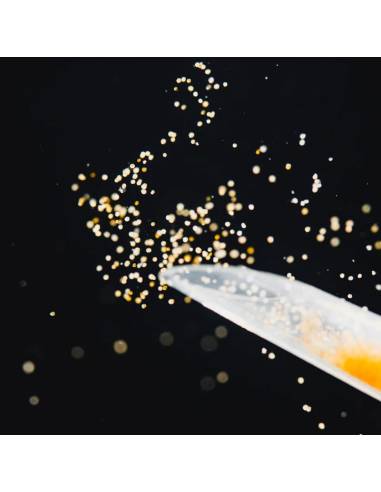 StreamBiz Pure Nature Artemia Nauplio 100ml