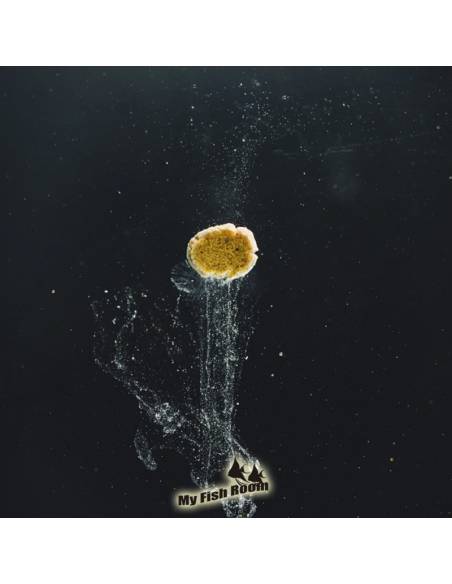 StreamBiz Artemia paste 120g