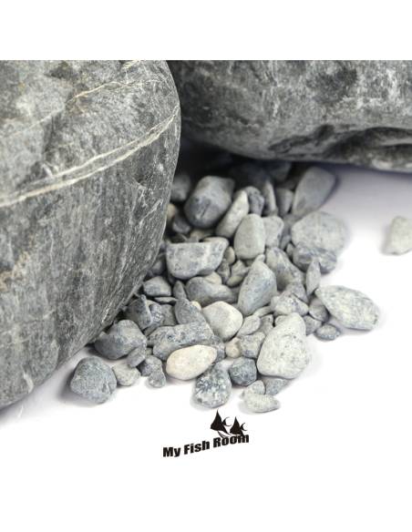 Pack Titan Boulder WIO / My Fish Room Nro 2