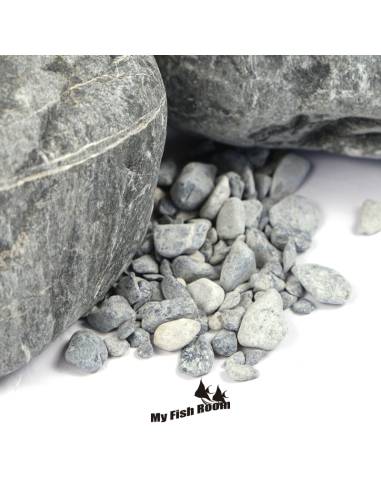Pack Titan Boulder WIO / My Fish Room Nro 3