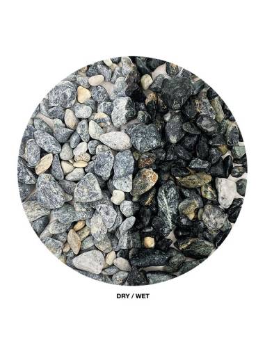 Pack Titan Boulder WIO / My Fish Room Nro 1