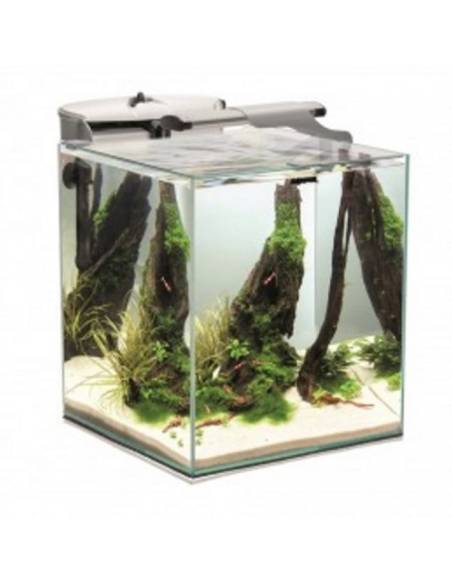 Set completo Acuario 49l  Aquael Fish&Shrimp set Duo 35 color blanco