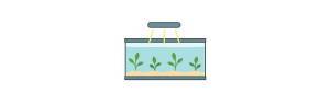 Plantas acuáticas de bajos requerimientos