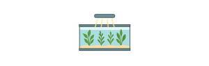 Plantas acuáticas de medios requerimientos