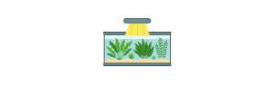 Plantas acuáticas de altos requerimientos