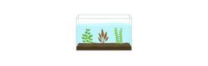 Plantas zona media para acuarios