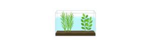 Plantas traseras para acuarios