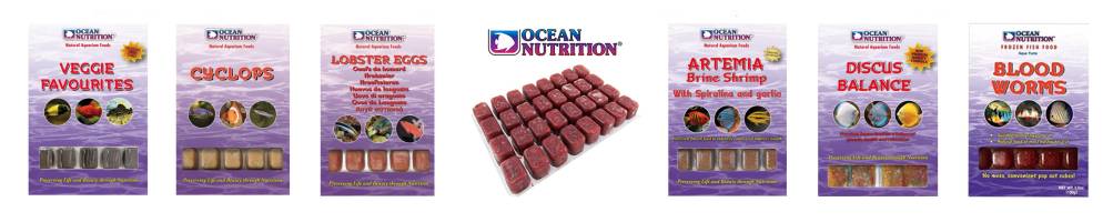 Alimento congelado para peces de acuario