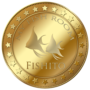 fishito-moneda