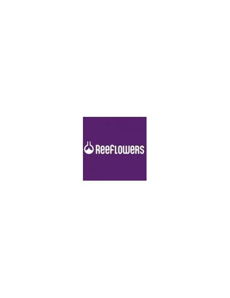 ReeFlowers