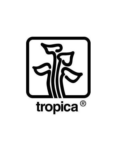 Tropica Dinamarca