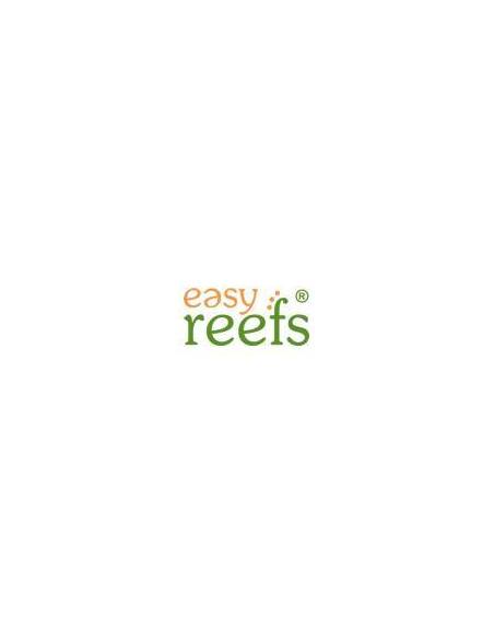 Easy Reef
